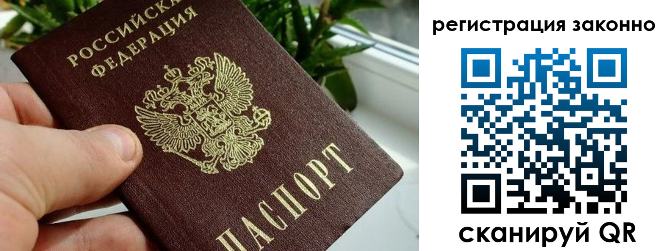 прописка гарантия в Гулькевичах